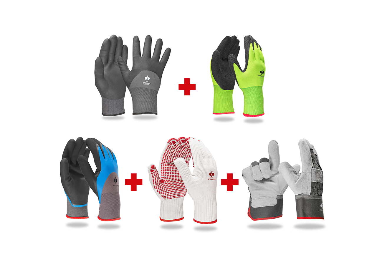 Personal Protection: Professional glove set garden II