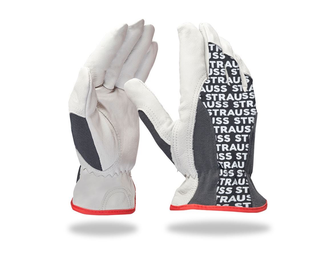 Leather: Nappa leather driving gloves Driver Profi