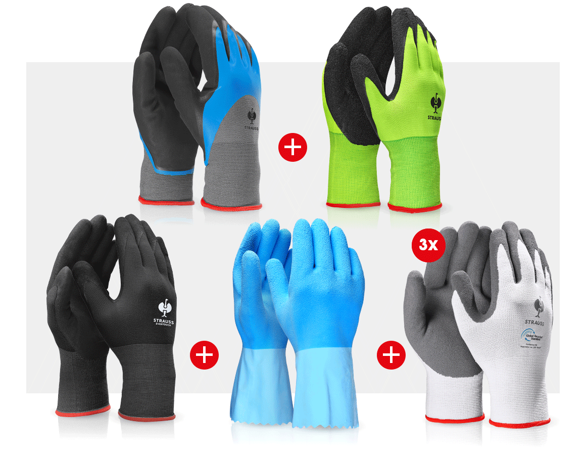 Sets | Accessories: Professional glove set sanitary II