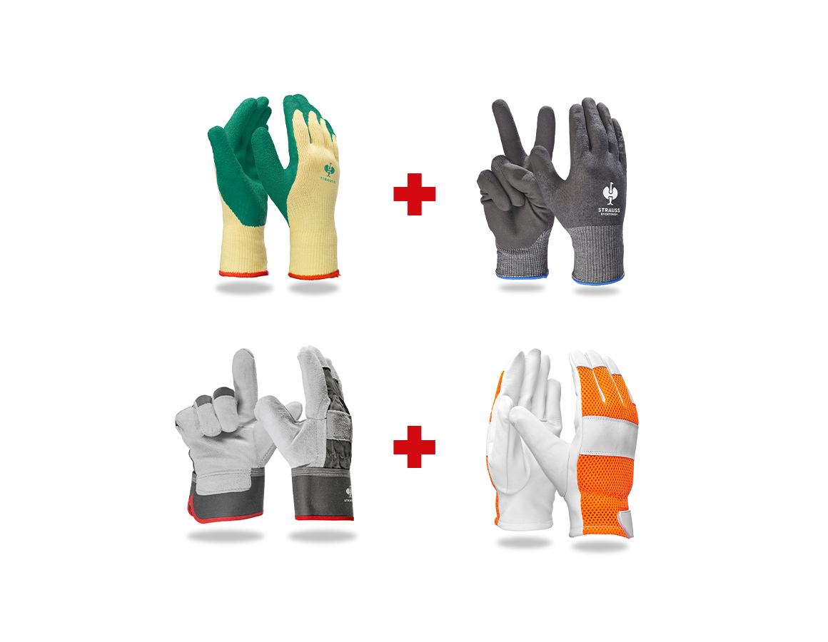 Personal Protection: Professional glove set agricultural sector II