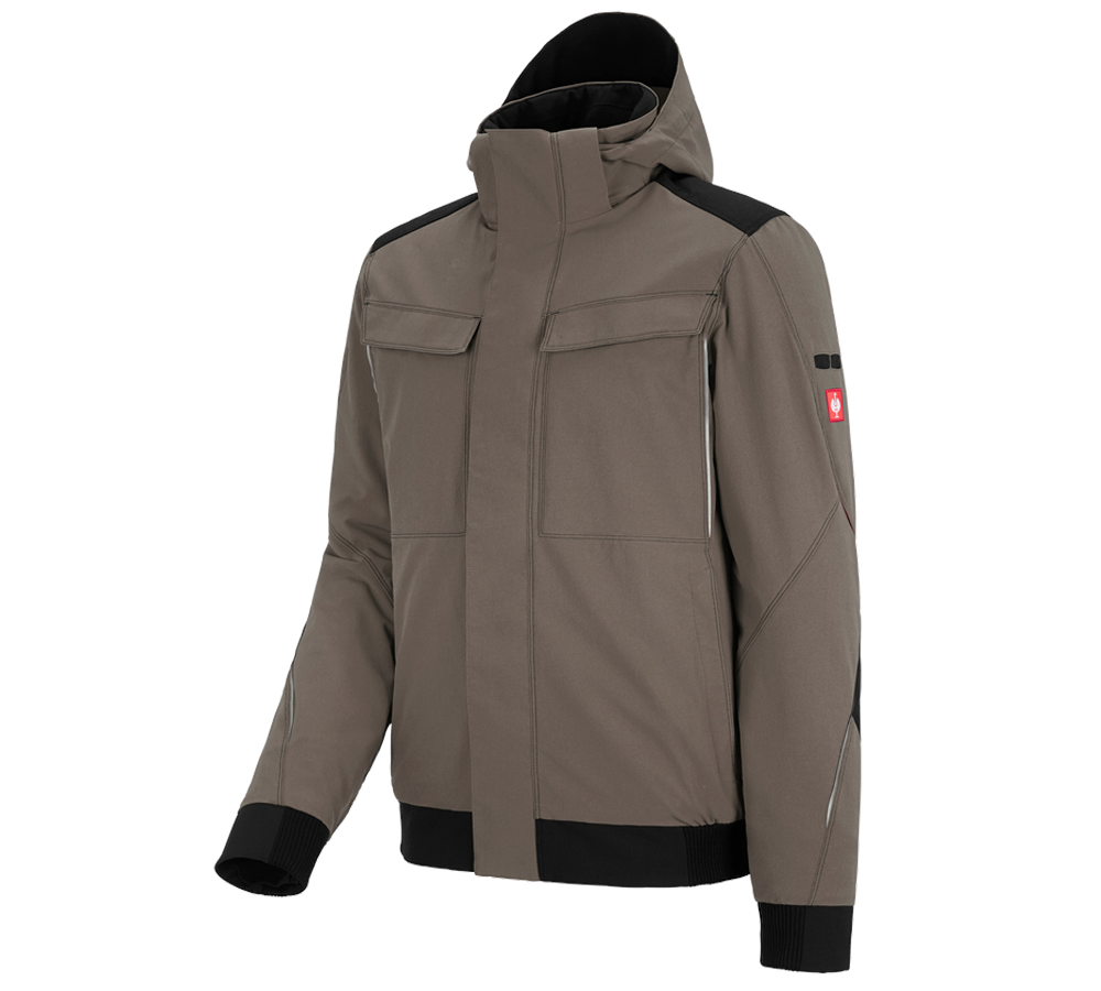 Cold: Winter functional jacket e.s.dynashield + stone/black