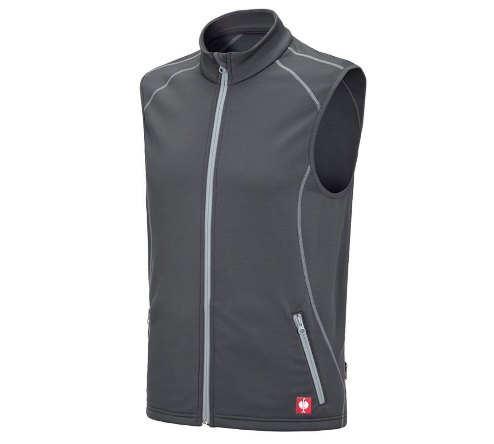 Work Body Warmer: Function bodywarmer thermo stretch e.s.motion 2020 + anthracite/platinum