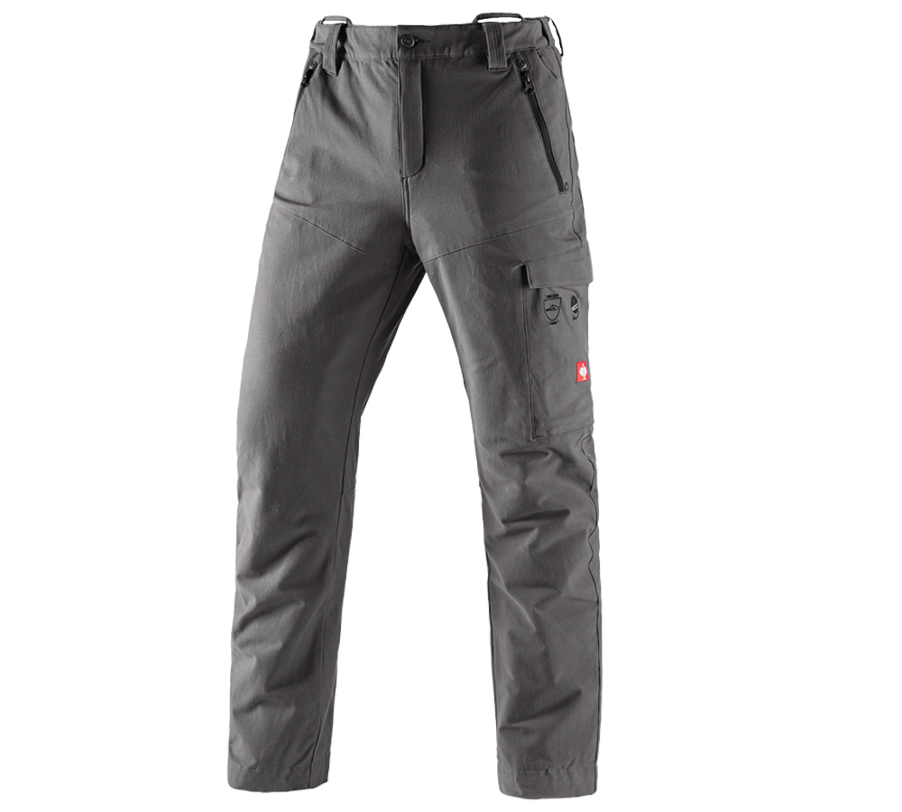Work Trousers: Forestry cut protection trousers e.s.cotton touch + carbongrey