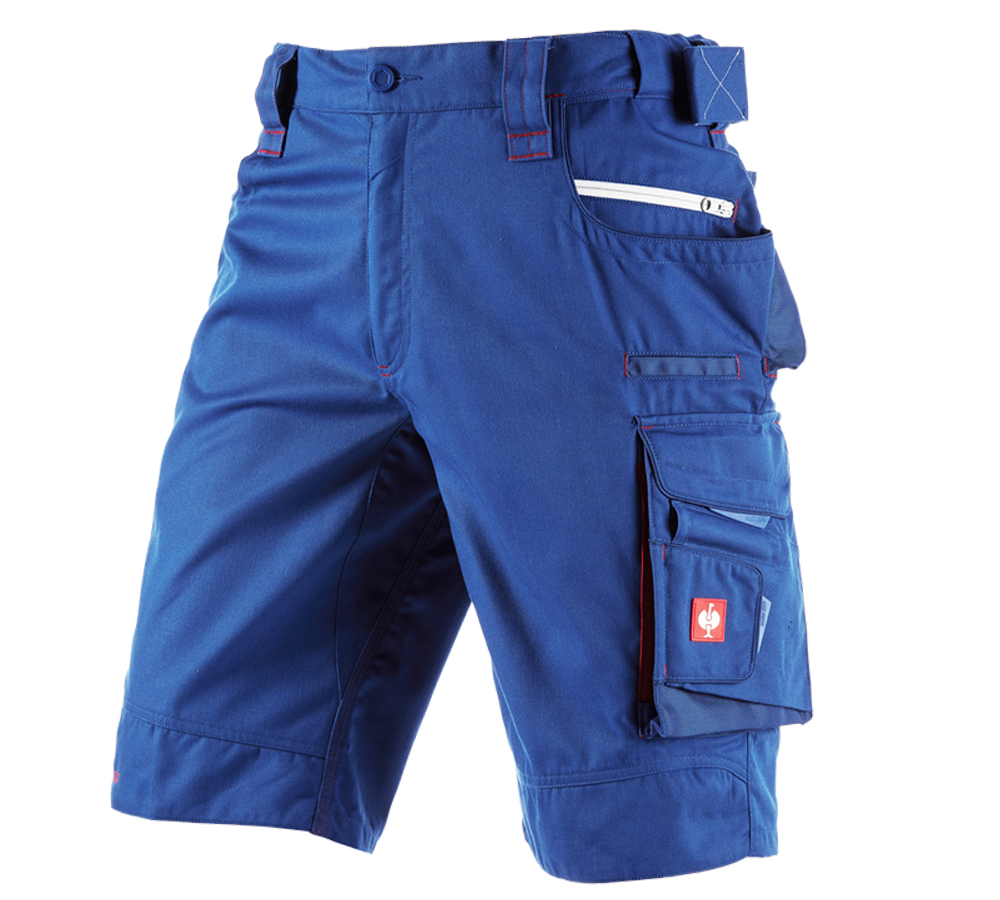 Plumbers / Installers: Shorts e.s.motion 2020 + royal/fiery red