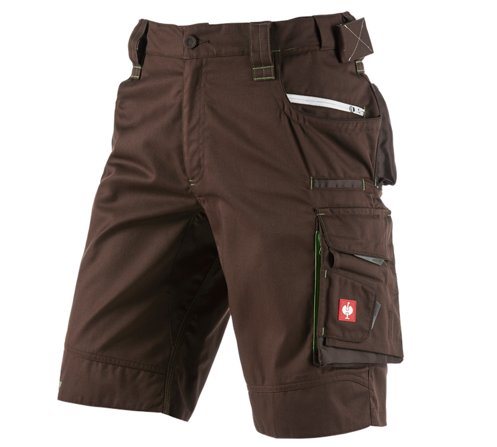 Work Trousers: Shorts e.s.motion 2020 + chestnut/seagreen