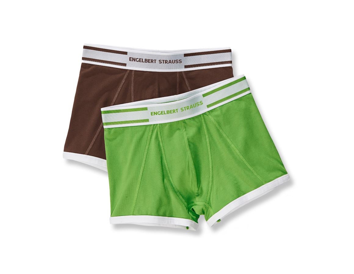 e.s. Cotton stretch pants colour, pack of 2 chestnut+seagreen | Strauss