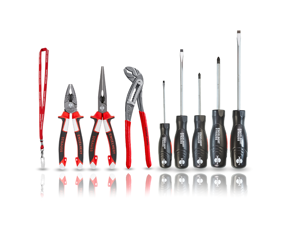 Tools: Power pliers with screwdriver set II
