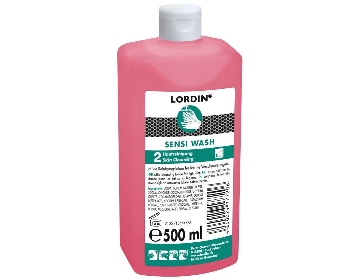 Hand cleaning | Skin protection: LORDIN® Sensi Wash