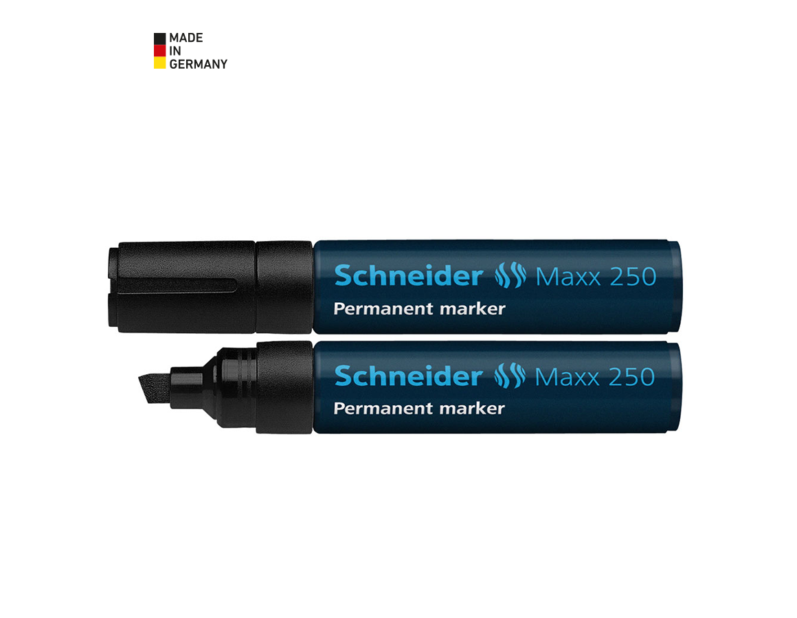 Writing | Correcting: Permanent Marker Schneider 250 + black