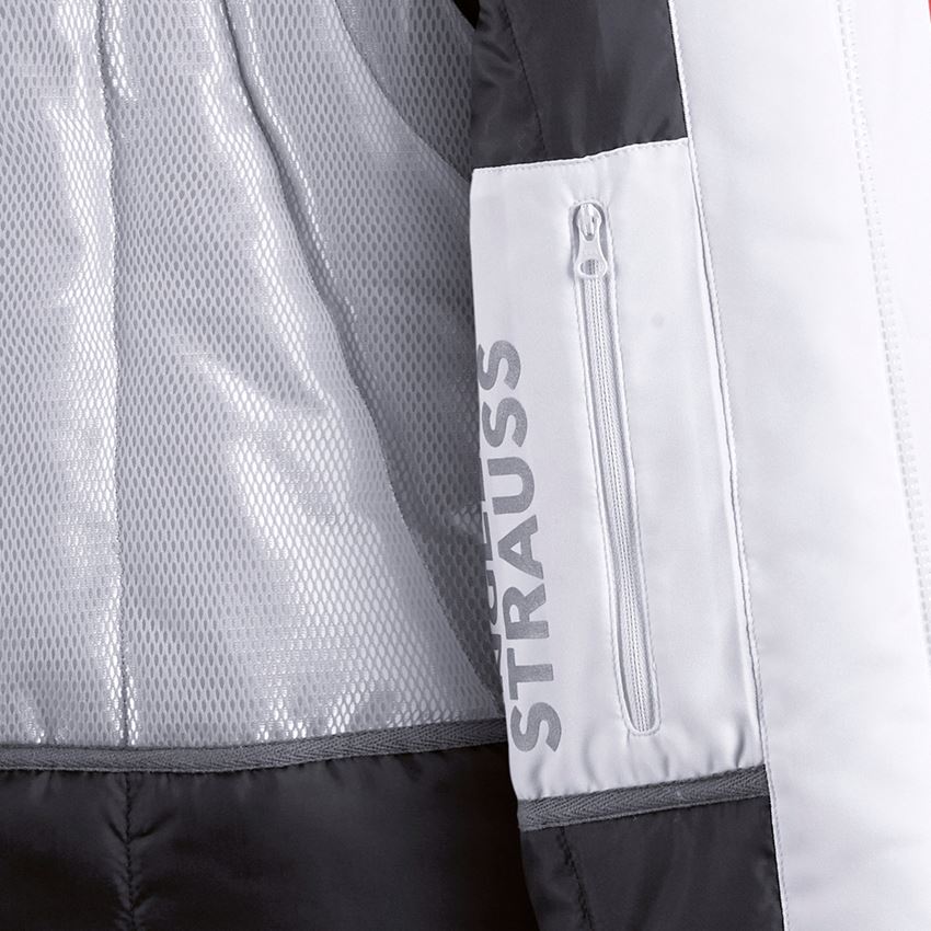Cold: Softshell jacket e.s.motion + white/grey 2