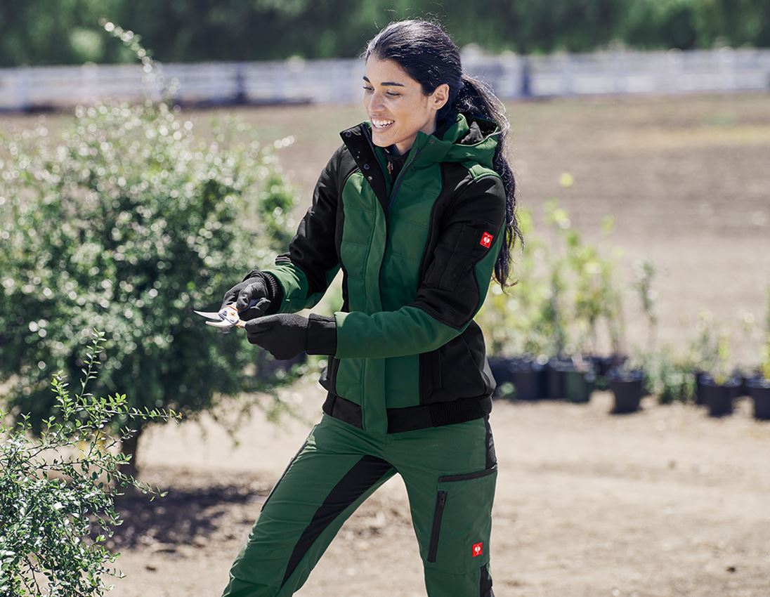 Gardening / Forestry / Farming: Winter softshell jacket e.s.vision, ladies' + green/black 1