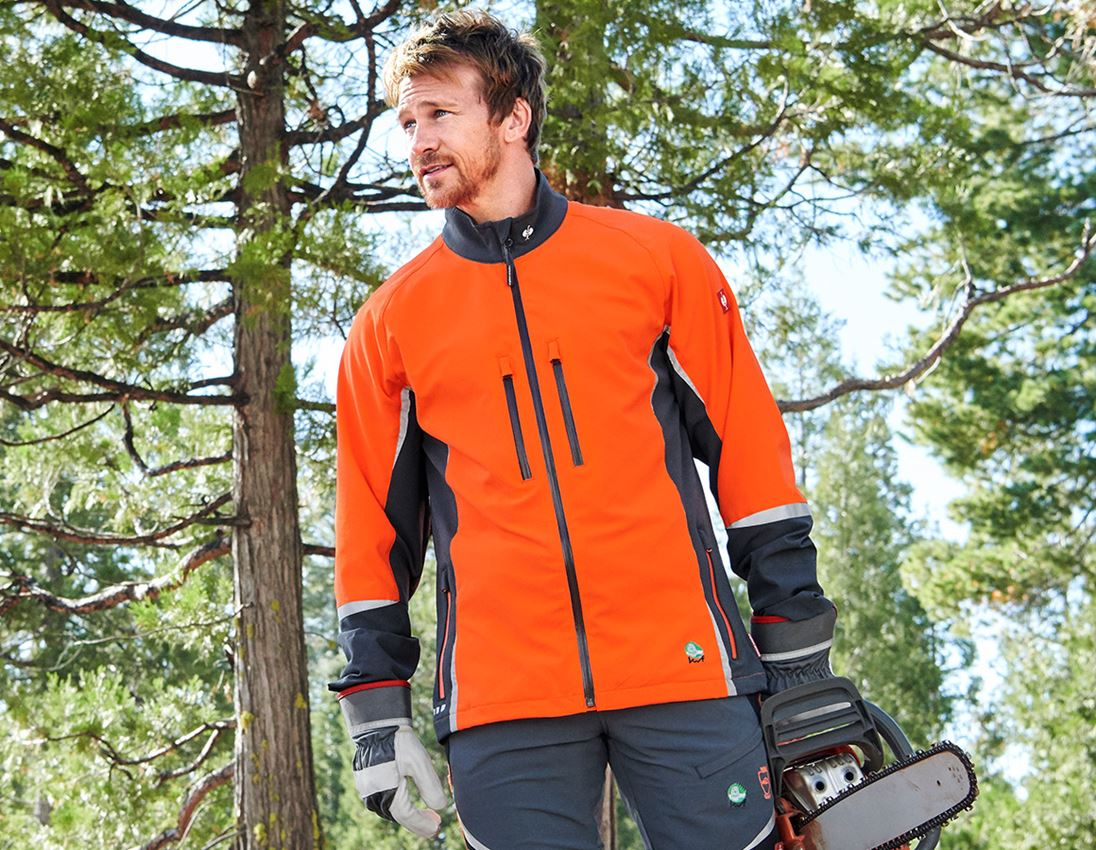Forestry / Cut Protection Clothing: e.s. Forestry jacket, KWF + grey/high-vis orange