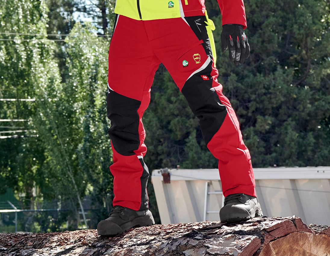 Durable Gladiator Chainsaw Pants - Pfanner Canada