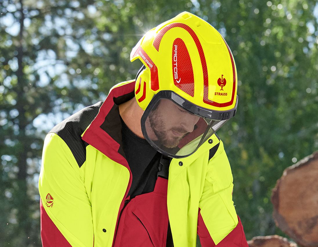 Forestry / Cut Protection Clothing: e.s. Forestry helmet Protos® + high-vis yellow/fiery red