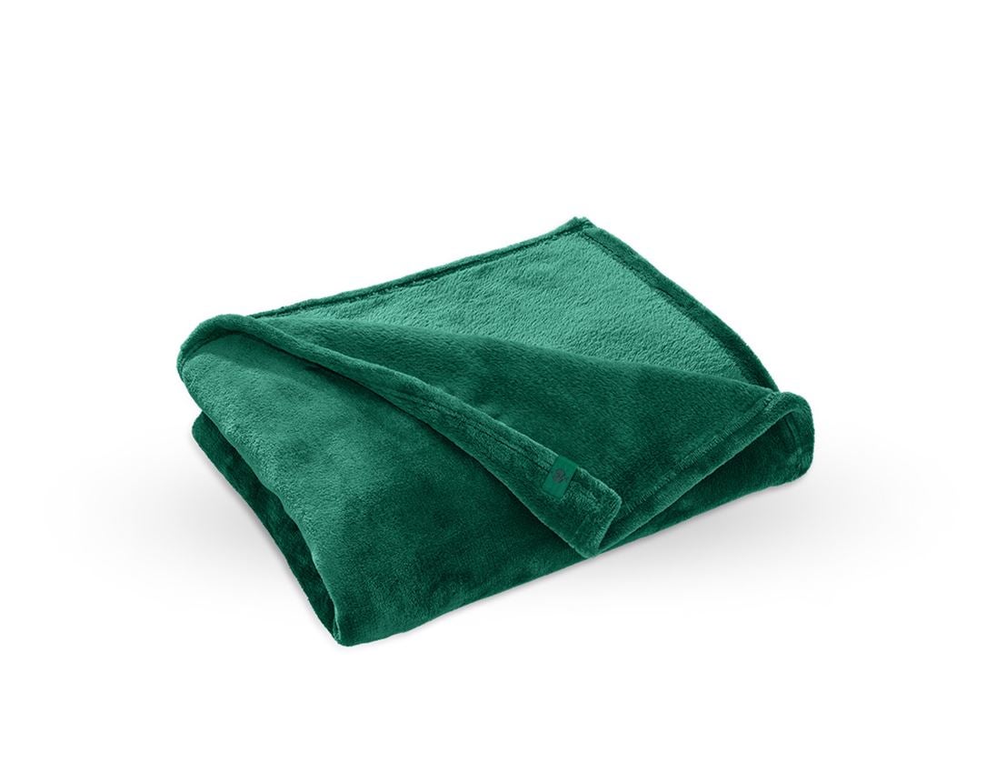 Workshop & Office equipment: e.s. Fleece blanket + green