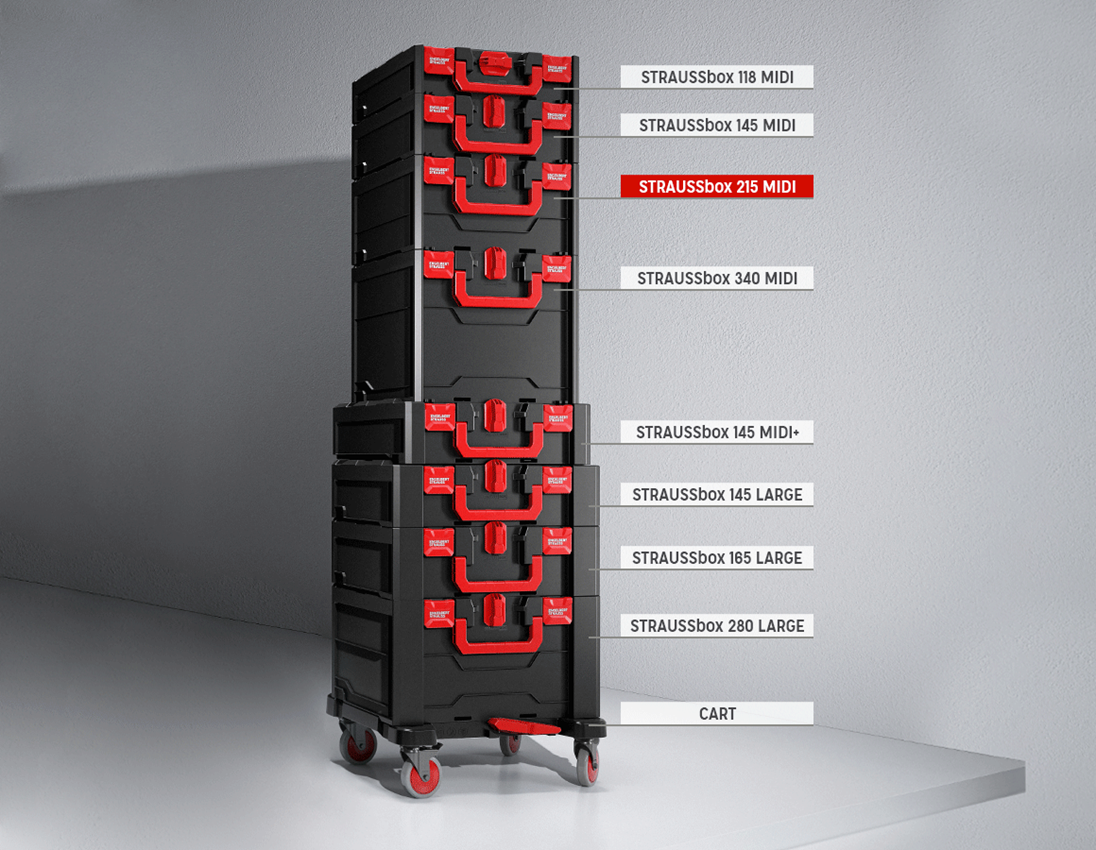 STRAUSSbox System: STRAUSSbox 215 midi + black/red