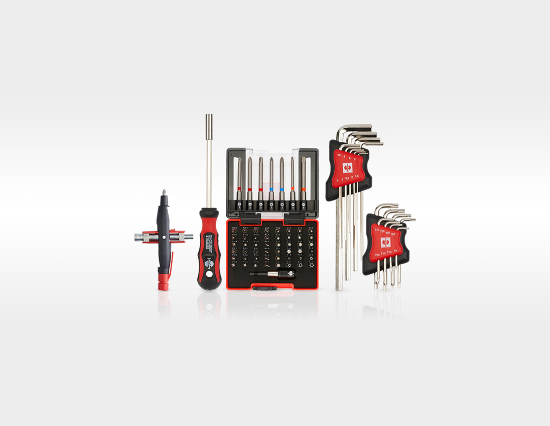 Tool Cases: Tool set Elektro Meister incl. tool trolley 8
