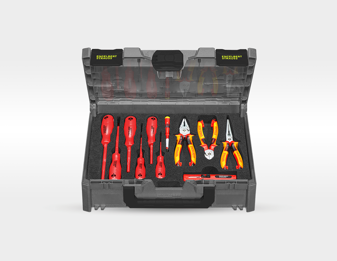 Tools: Tool set Elektro+STRAUSSbox + basaltgrey/acid yellow 3