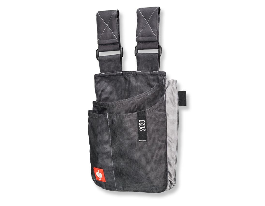 Tool bags: Tool bag e.s.motion 2020, large + anthracite/platinum 1