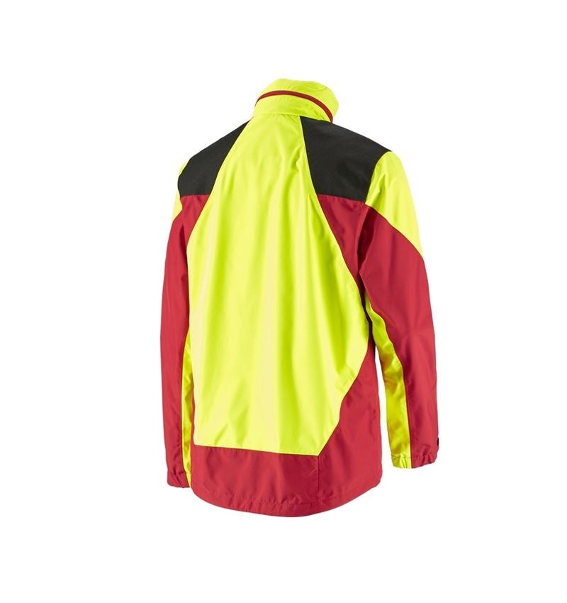 Work Jackets: e.s. Forestry rain jacket + high-vis yellow/fiery red 3