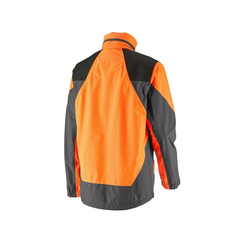 Work Jackets: e.s. Forestry rain jacket + high-vis orange/carbon grey 3
