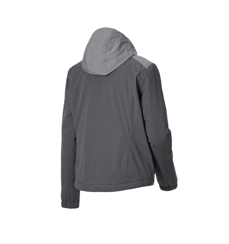 Work Jackets: Winter jacket e.s.trail pure, ladies' + carbongrey/basaltgrey 5