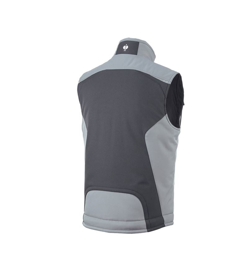 Joiners / Carpenters: Softshell bodywarmer e.s.motion + graphite/cement 3