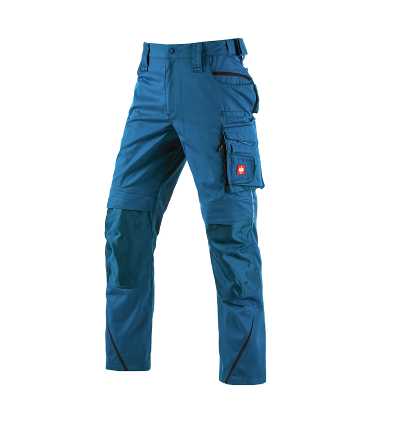Work Trousers: Trousers e.s.motion 2020 + atoll/navy 2