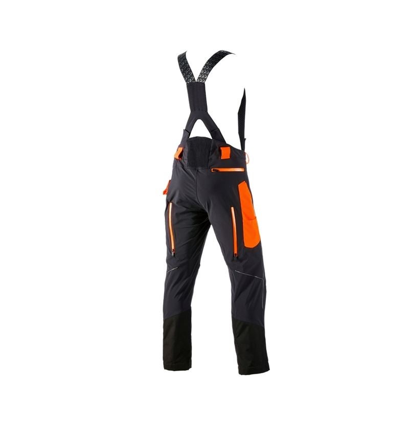Gardening / Forestry / Farming: Cut protection trousers e.s.vision + black/high-vis orange 3