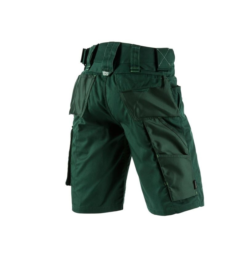 Plumbers / Installers: Shorts e.s.motion 2020 + green/seagreen 3