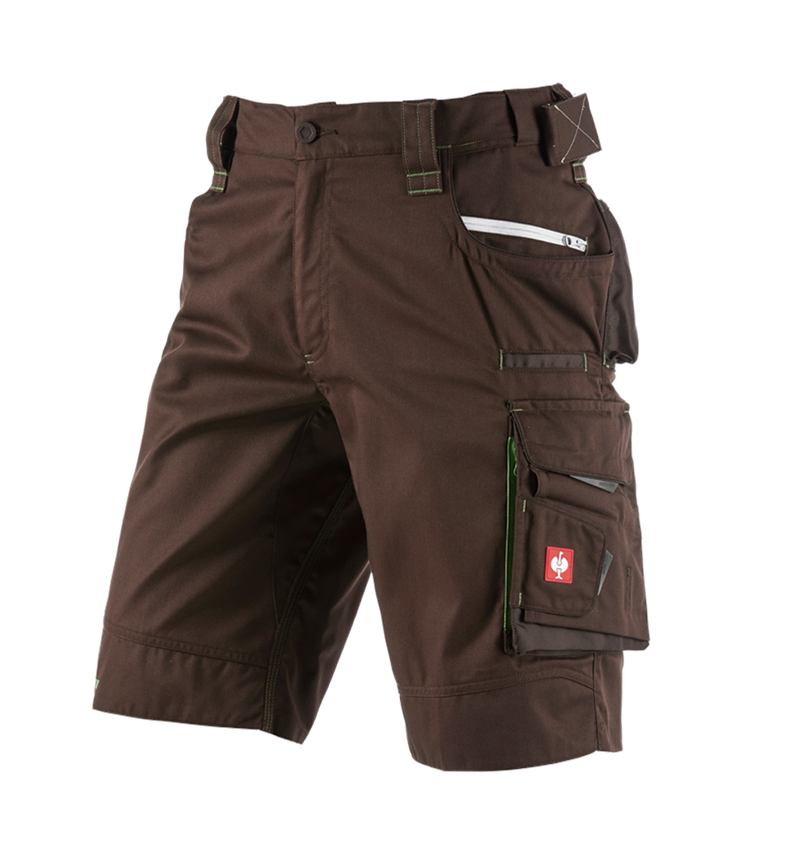 Plumbers / Installers: Shorts e.s.motion 2020 + chestnut/seagreen 1