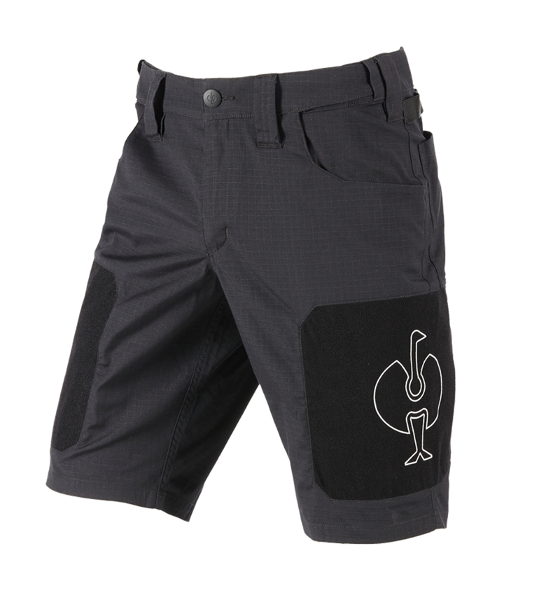 Clothing: Shorts e.s.tool concept + black 5