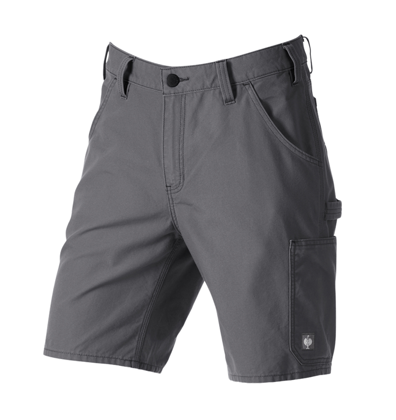 Clothing: Shorts e.s.iconic + carbongrey 5