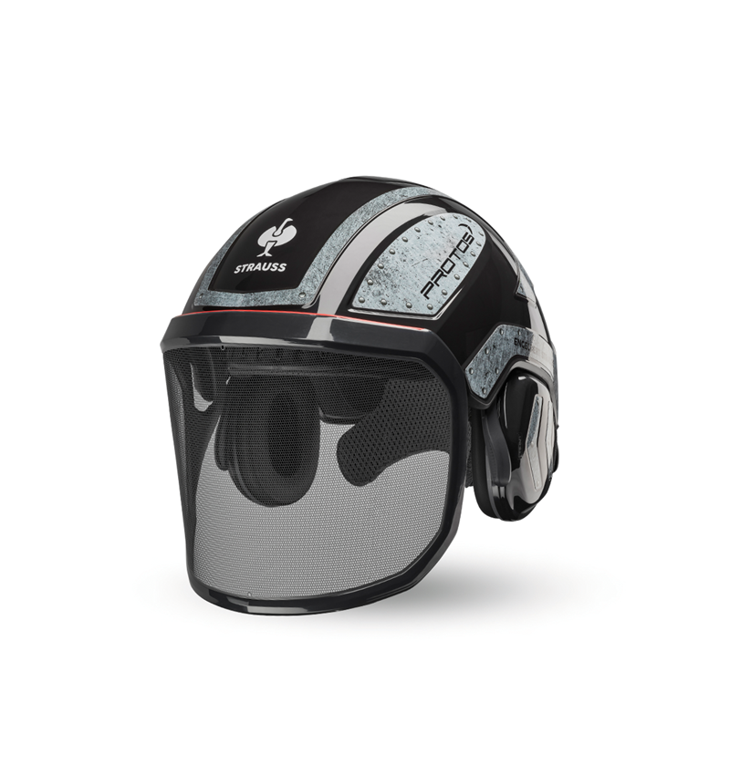 Forestry / Cut Protection Clothing: e.s. Forestry helmet Protos® + black/grey