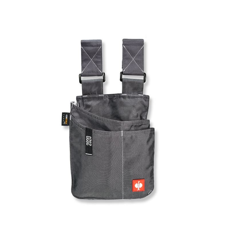 Tool bags: Tool bag e.s.motion 2020, large + anthracite/platinum