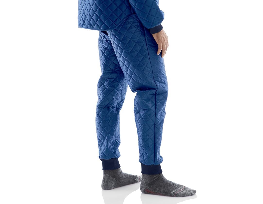 Gardening / Forestry / Farming: Thermal trousers + navy blue