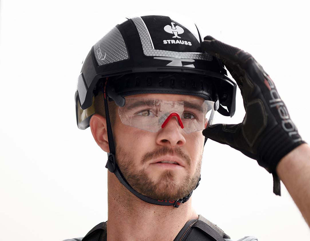 Accessories: e.s. Safety glasses  Protos® Integral + clear