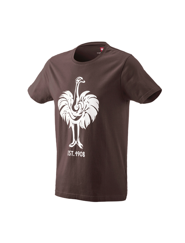 Shirts, Pullover & more: e.s. T-shirt 1908 + chestnut/white 2