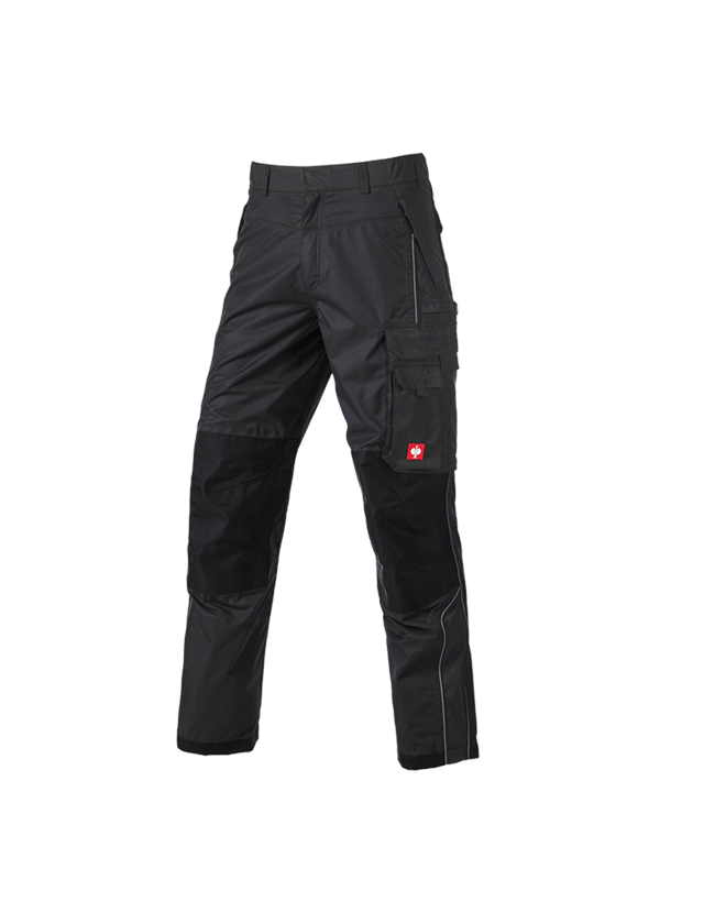Gardening / Forestry / Farming: Functional trousers e.s.prestige + black 1
